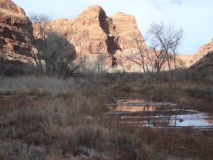 Courthouse Wash