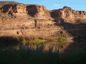 colorado-river-near-moab