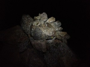 The Summit at 1:00 AM